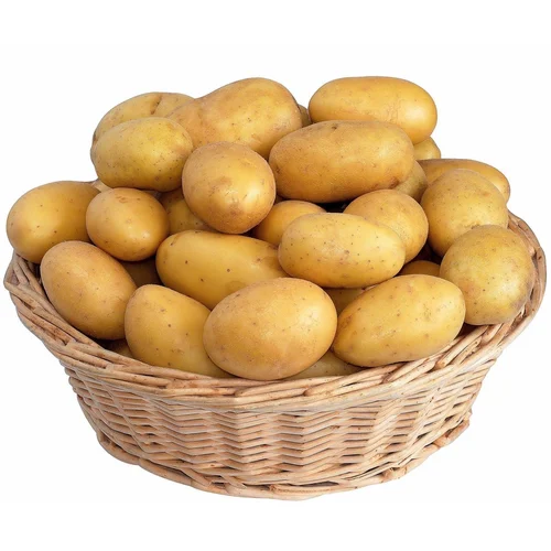 Vegetable